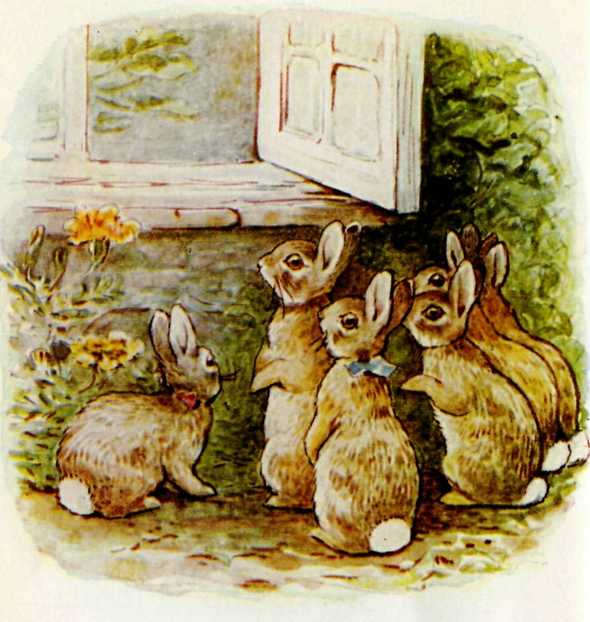 Benjamin Bunny and Peter Rabbit