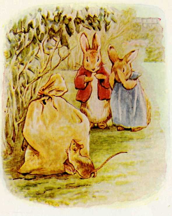 Benjamin Bunny and Peter Rabbit